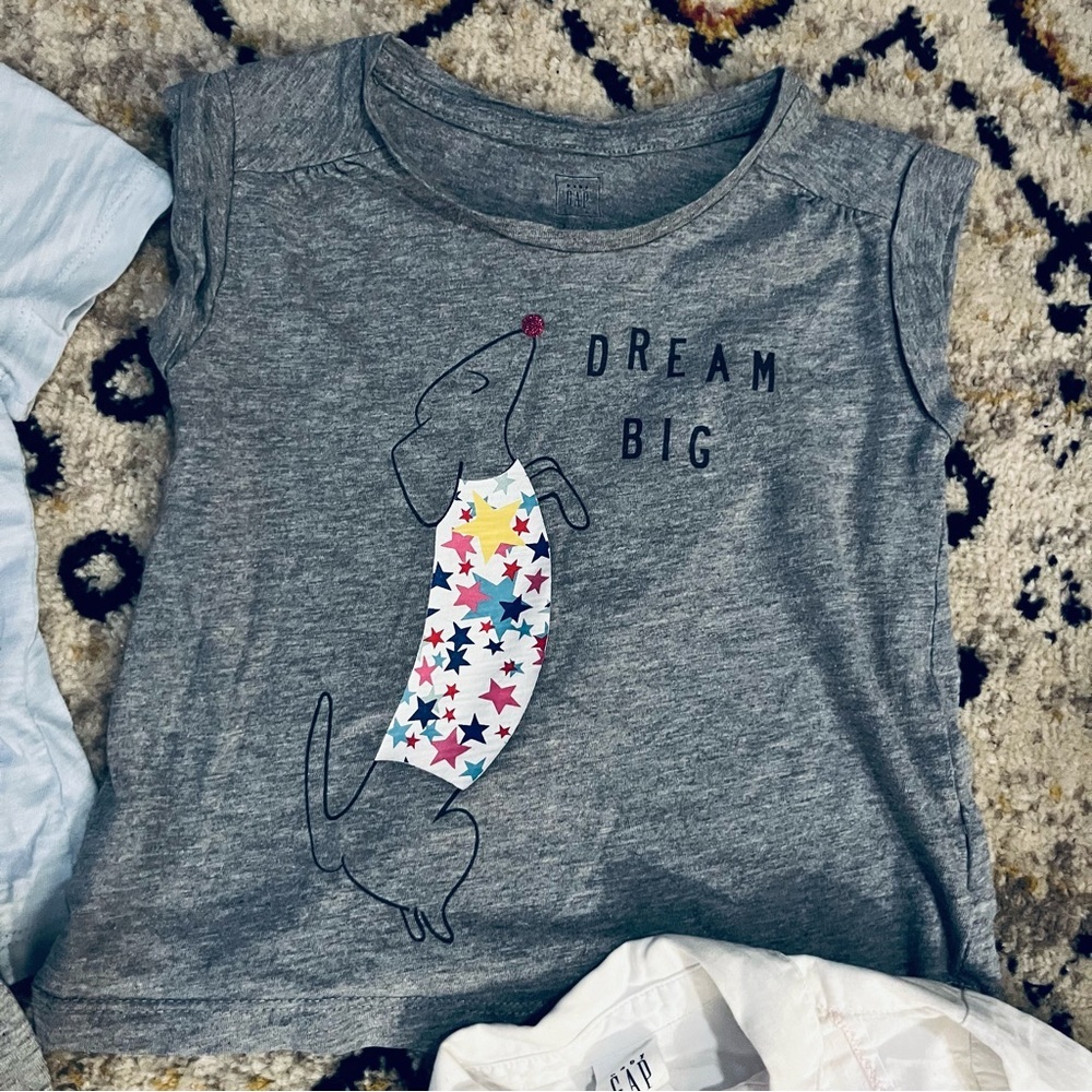 Gap Little Girl Bundle 4 Tops Size 2/3 Adorable Embroidery - Picture 3 of 10